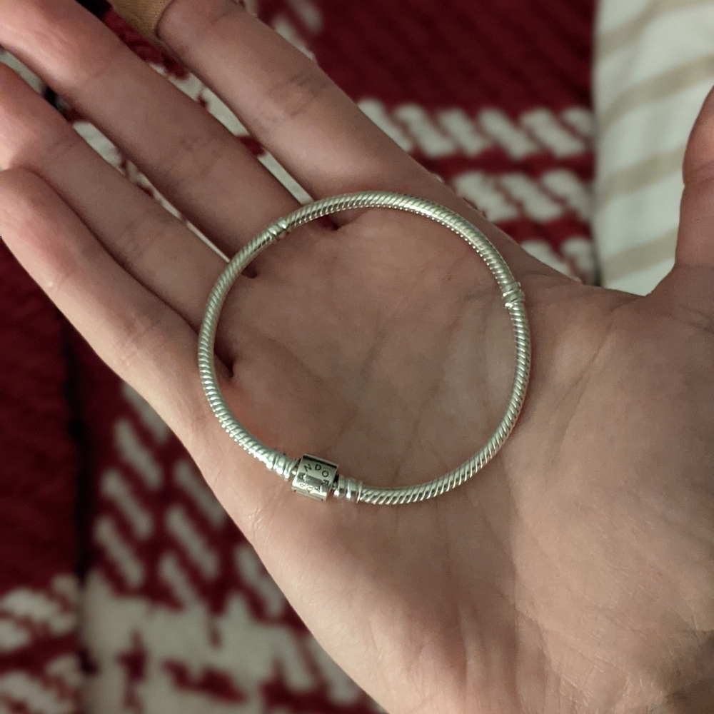 Pandora charm bracelet